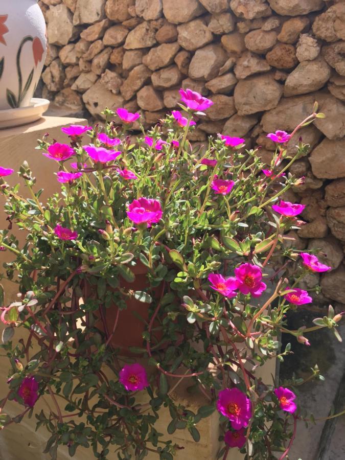 Botanica B&B Xagħra Exteriér fotografie