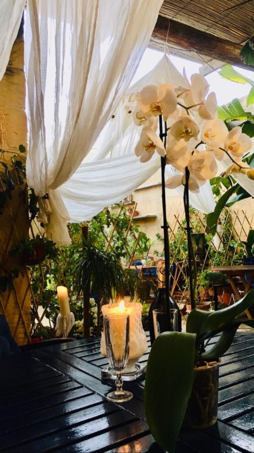 Botanica B&B Xagħra Exteriér fotografie