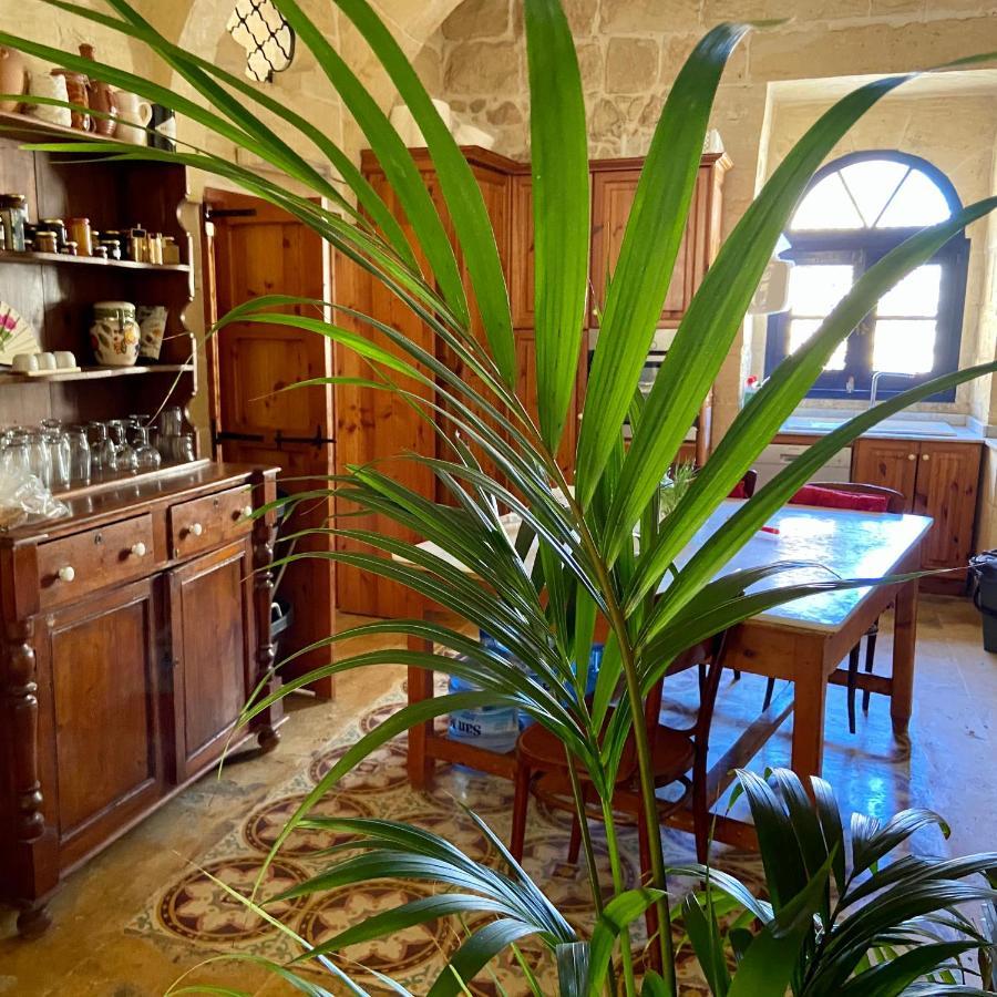 Botanica B&B Xagħra Exteriér fotografie