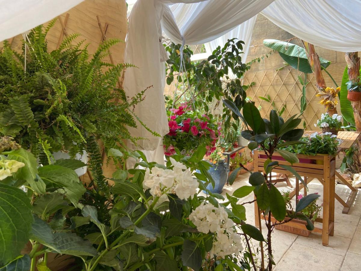 Botanica B&B Xagħra Exteriér fotografie